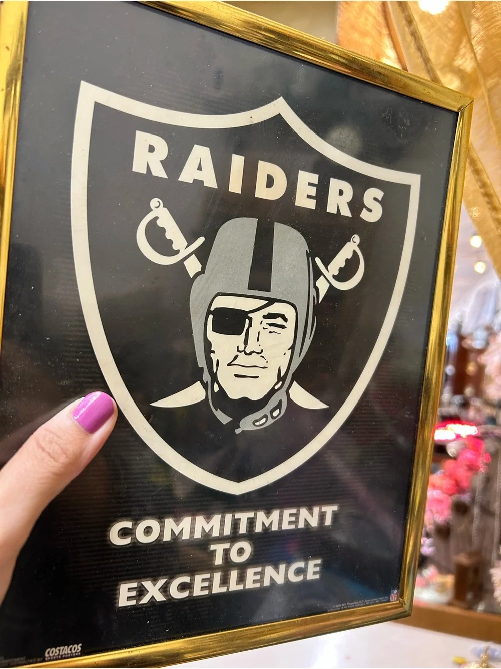Raider Black & White Raiders Shield Wall Art bar man cave decor sports football
